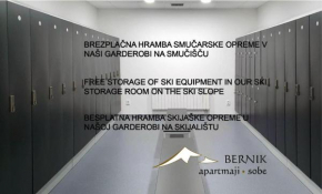 Apartment Bernik II
